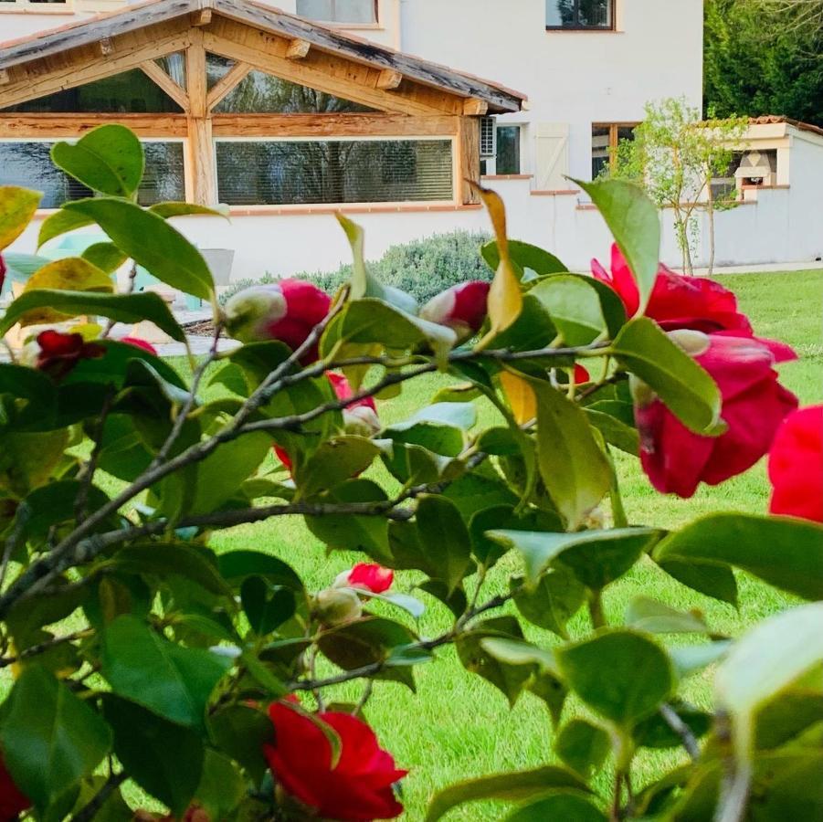 Au Temps Suspendu Villa Saint-Martin-d'Oydes Exteriör bild